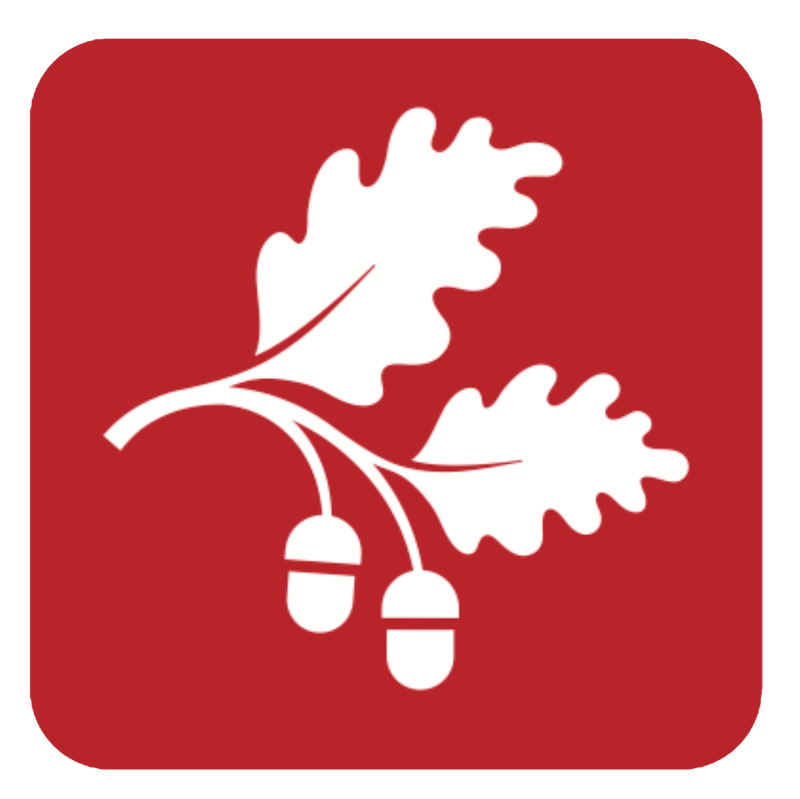 Labanoras Logo